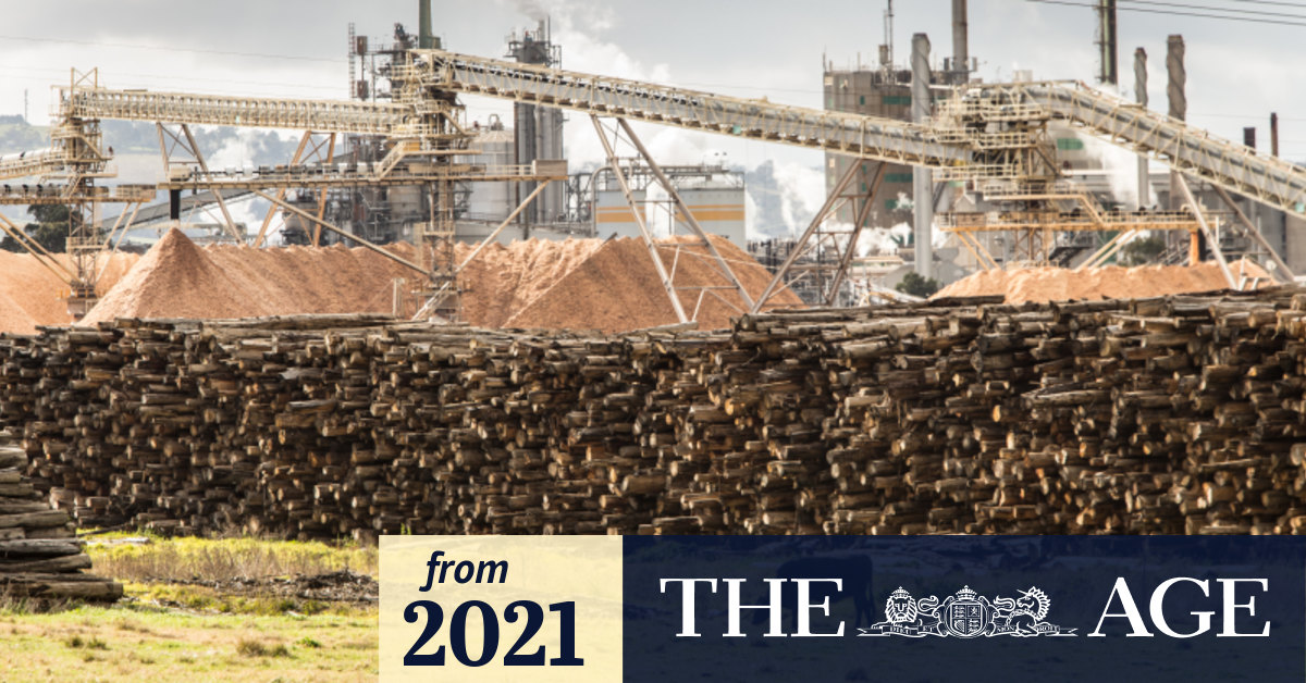 Latrobe Valley’s Maryvale paper mill jobs at risk after Victoria’s end